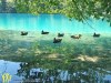c-plitvice-1